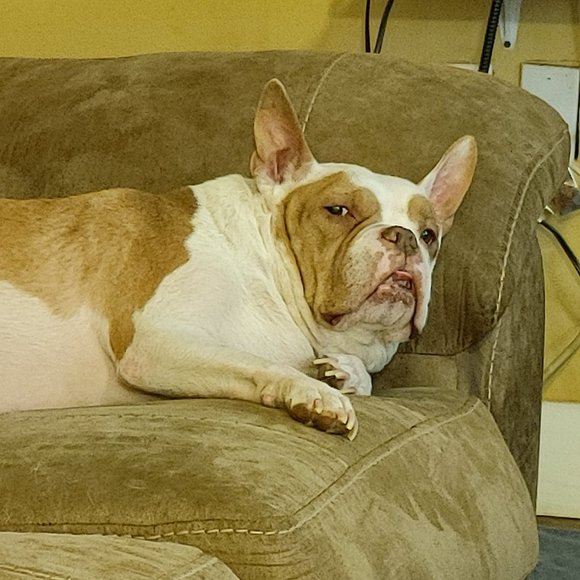 Welcome to VetFund closet - Picture 3 of 4